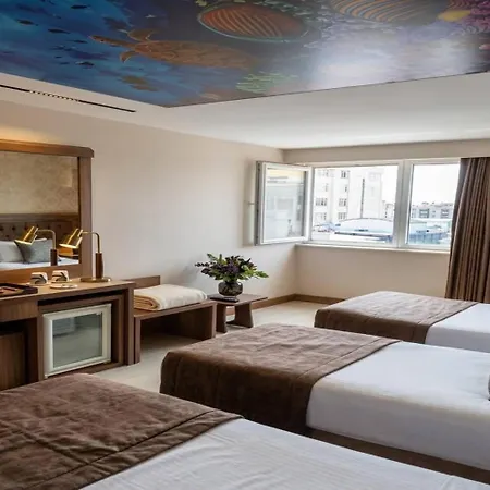 Buyuk Paris 3* Estambul