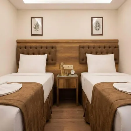 Buyuk Paris 3*
