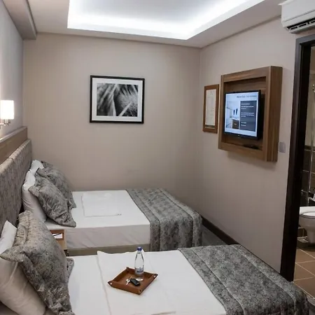 Hotel Buyuk Paris Estambul