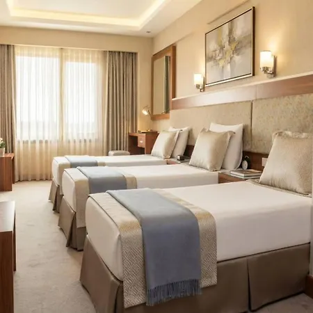 Buyuk Paris 3*