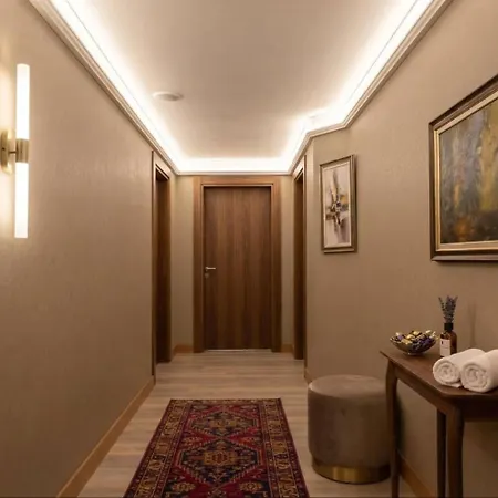 Buyuk Paris 3*