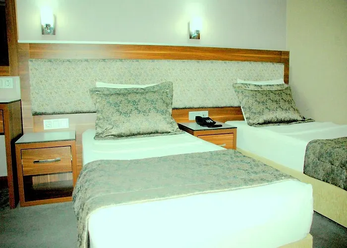 Отель Buyuk Paris Стамбул