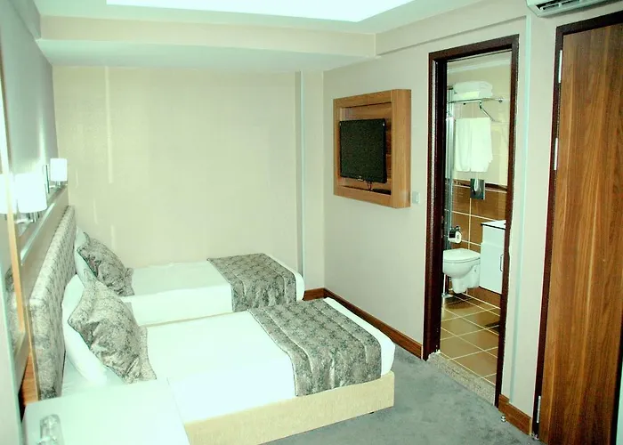 Buyuk Paris Отель