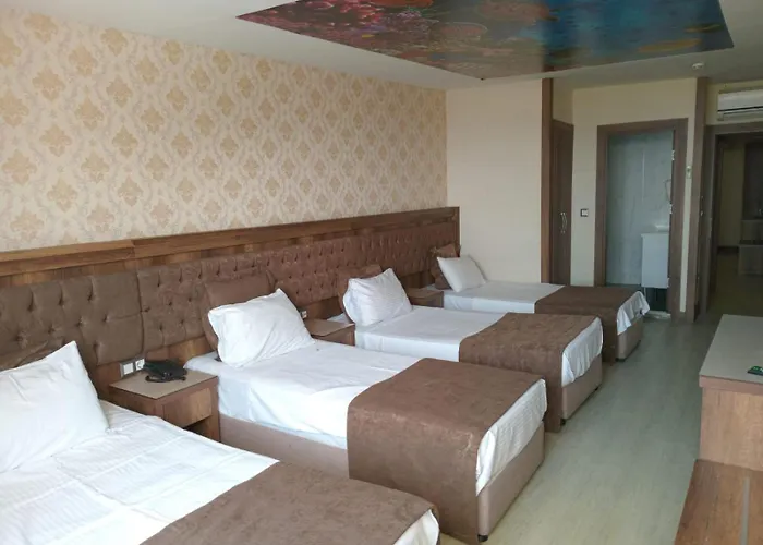 Отель Buyuk Paris Стамбул