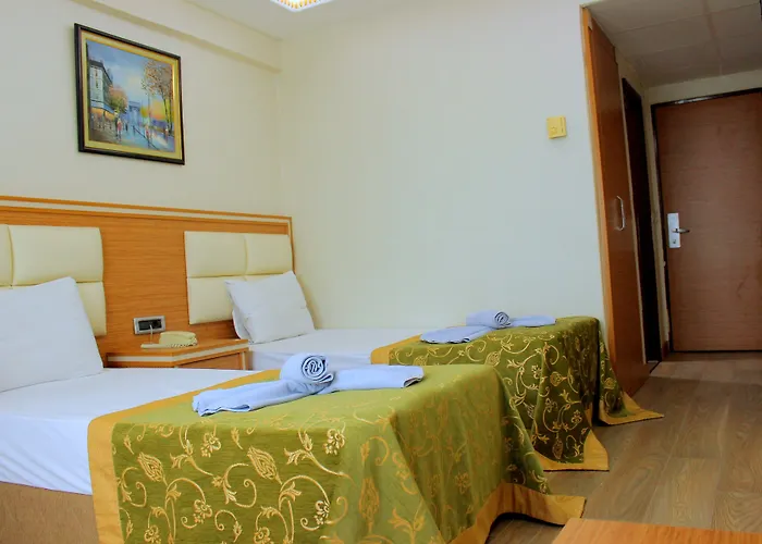 Отель Buyuk Paris