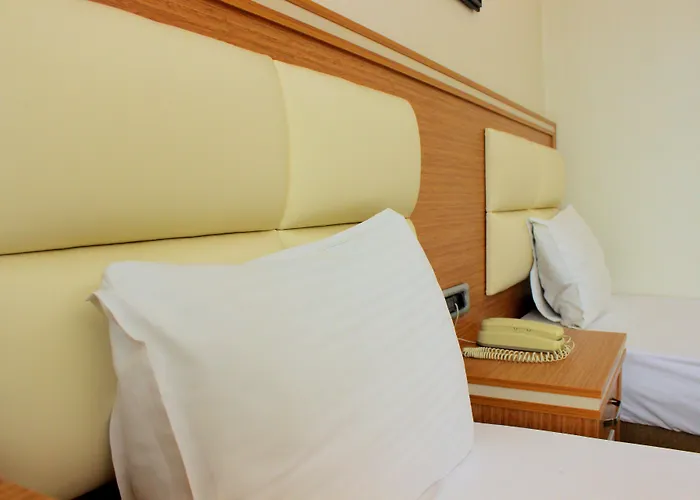 Buyuk Paris Отель