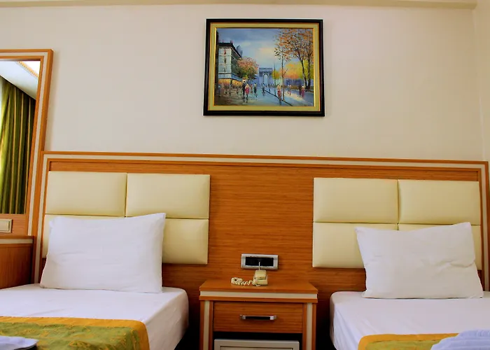 Buyuk Paris Отель