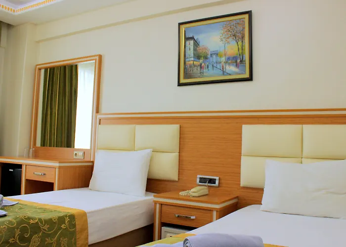 Отель Buyuk Paris 3*