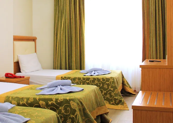 Отель Buyuk Paris 3*