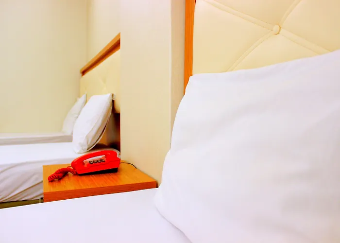 Отель Buyuk Paris 3*