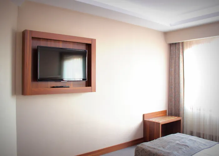 Отель Buyuk Paris