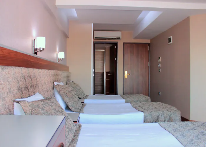 Buyuk Paris Отель