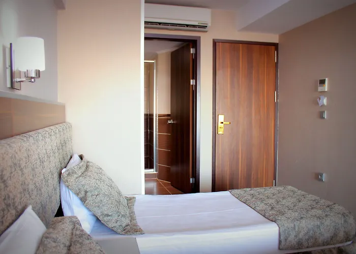 Отель Buyuk Paris 3*