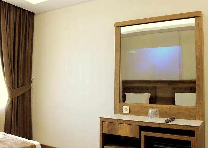 Отель Buyuk Paris