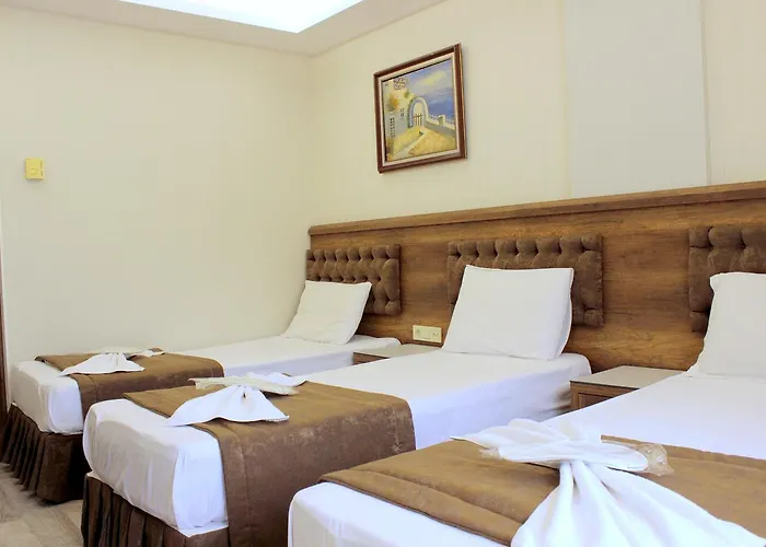 Отель Buyuk Paris