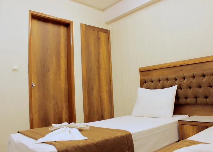 Отель Buyuk Paris 3*