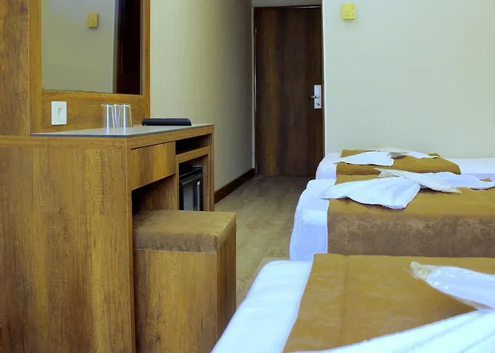 Отель Buyuk Paris