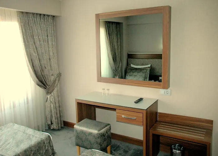 Отель Buyuk Paris