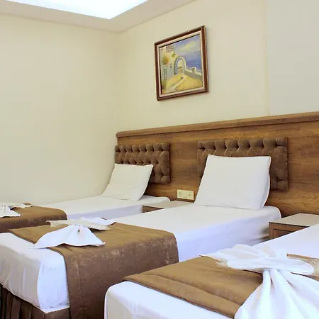 מלון Buyuk Paris