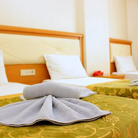Hotel Buyuk Paris 3*