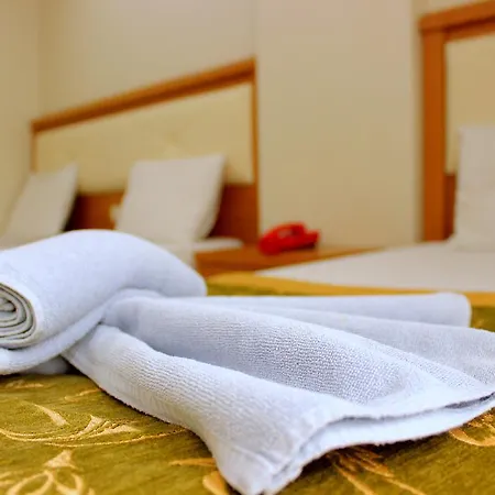 Отель Buyuk Paris 3*